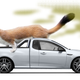 Illustration for article titled New Zealand Meth-Heads Break Into Car, Mistakenly Steal Weasel Ass Stink Oil: Report